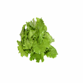 Simply Fresh Iceberg Open Heart   Box  1 pcs